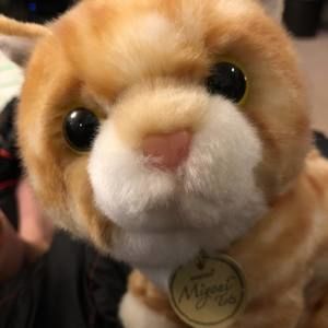 Meet your Posher, Angie